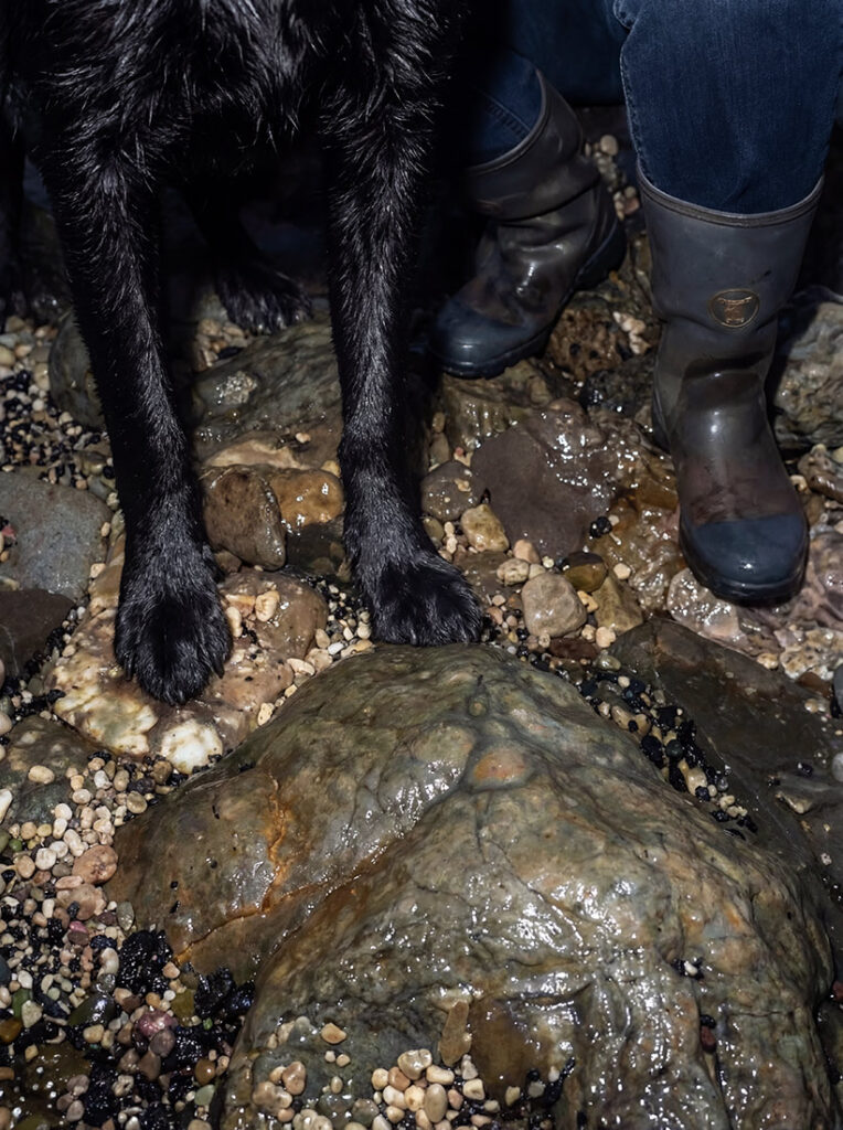 Las patas de un perro negro sobre rocas y guijarros mojados, junto a una persona que lleva botas de goma embarradas.